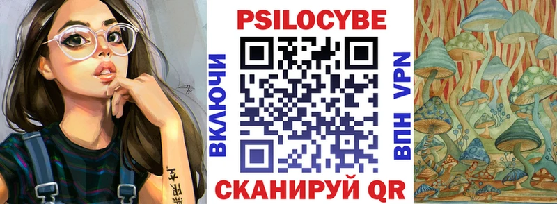 Псилоцибиновые грибы Cubensis  blacksprut рабочий сайт  Канаш 